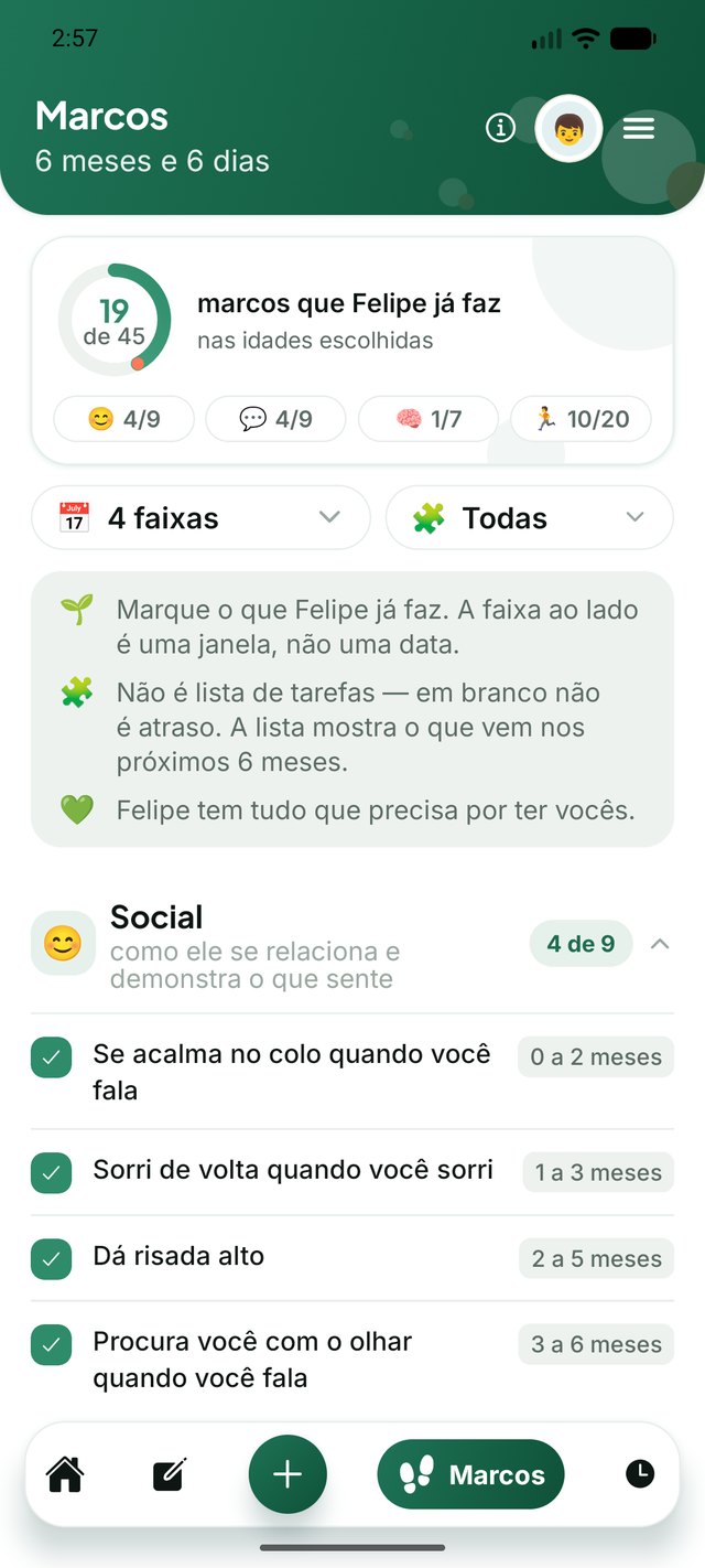 Marcos do desenvolvimento organizados por área